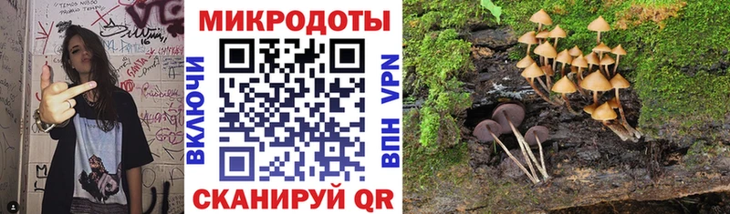 Галлюциногенные грибы MAGIC MUSHROOMS где купить наркоту Городище